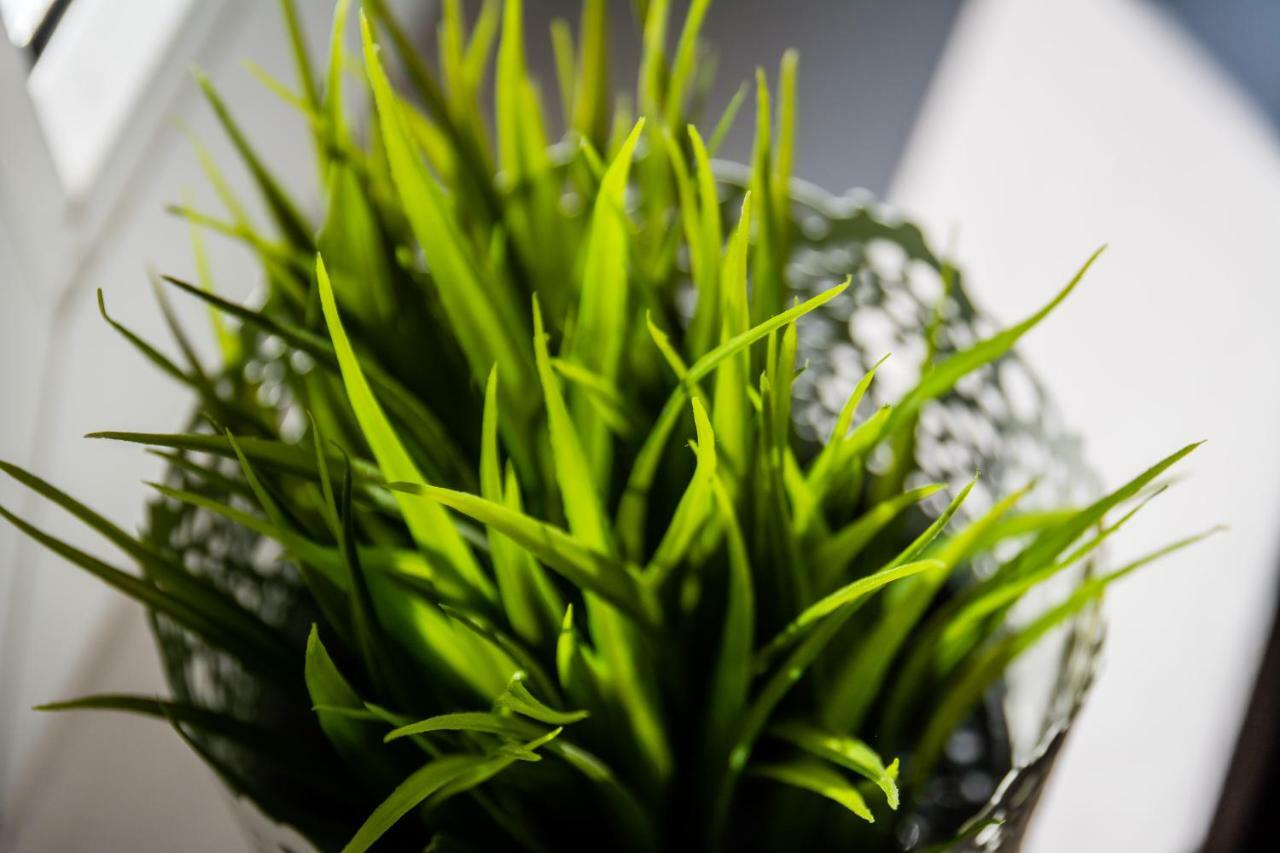 Krolewska 克拉科夫 外观 照片
